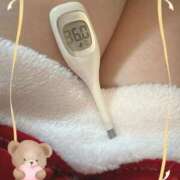 ヒメ日記 2025/12/20 14:40 投稿 まこ 石庭