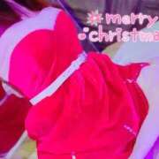 ヒメ日記 2025/12/21 21:40 投稿 まこ 石庭