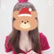 ヒメ日記 2025/12/23 11:30 投稿 まこ 石庭