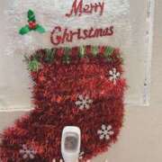 ヒメ日記 2025/12/24 13:20 投稿 まこ 石庭