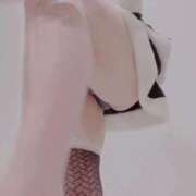 ヒメ日記 2025/12/24 20:50 投稿 まこ 石庭