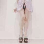 まこ 昨日のお礼💌 2 石庭