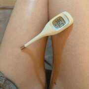 ヒメ日記 2025/12/31 09:50 投稿 まこ 石庭