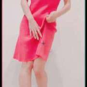 ヒメ日記 2025/12/31 21:20 投稿 まこ 石庭