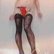 ヒメ日記 2026/01/02 10:00 投稿 まこ 石庭