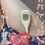 ヒメ日記 2026/01/04 10:30 投稿 まこ 石庭