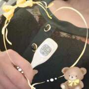 ヒメ日記 2026/01/06 09:50 投稿 まこ 石庭