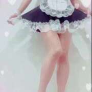 ヒメ日記 2026/01/07 20:00 投稿 まこ 石庭