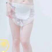 ヒメ日記 2026/01/11 21:20 投稿 まこ 石庭