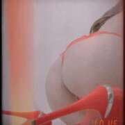 ヒメ日記 2026/01/18 22:30 投稿 まこ 石庭