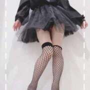 ヒメ日記 2026/01/24 10:50 投稿 まこ 石庭