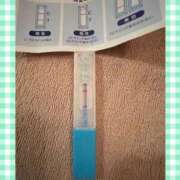 ヒメ日記 2026/01/24 13:20 投稿 まこ 石庭