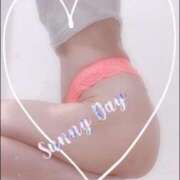 ヒメ日記 2026/01/24 15:20 投稿 まこ 石庭