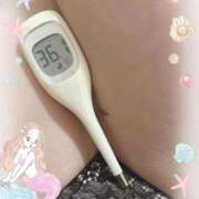 ヒメ日記 2026/01/25 13:34 投稿 まこ 石庭