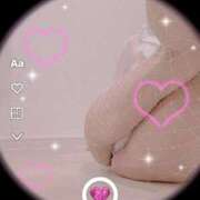 ヒメ日記 2026/01/25 22:20 投稿 まこ 石庭