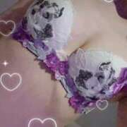 ヒメ日記 2026/01/27 21:20 投稿 まこ 石庭