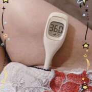 ヒメ日記 2026/01/29 12:21 投稿 まこ 石庭