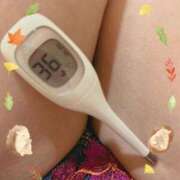 ヒメ日記 2026/01/31 13:04 投稿 まこ 石庭