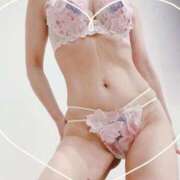 ヒメ日記 2026/02/01 10:50 投稿 まこ 石庭