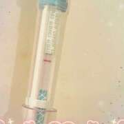 ヒメ日記 2026/02/01 11:50 投稿 まこ 石庭