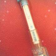 ヒメ日記 2026/02/04 12:50 投稿 まこ 石庭