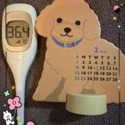 ヒメ日記 2026/02/08 12:20 投稿 まこ 石庭