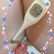 ヒメ日記 2026/02/11 16:34 投稿 まこ 石庭