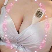 ヒメ日記 2026/02/14 15:05 投稿 まこ 石庭