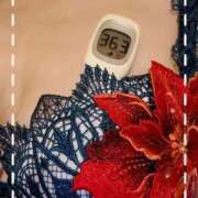 ヒメ日記 2026/02/17 13:34 投稿 まこ 石庭