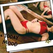 ヒメ日記 2026/02/19 21:20 投稿 まこ 石庭