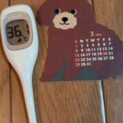 ヒメ日記 2026/03/01 11:50 投稿 まこ 石庭