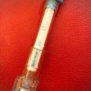 ヒメ日記 2026/03/04 14:32 投稿 まこ 石庭