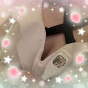 ヒメ日記 2026/03/05 12:35 投稿 まこ 石庭