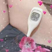 ヒメ日記 2026/03/07 15:50 投稿 まこ 石庭