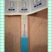 ヒメ日記 2026/04/08 13:11 投稿 まこ 石庭