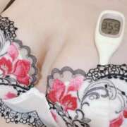 ヒメ日記 2026/04/09 09:59 投稿 まこ 石庭