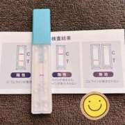 ヒメ日記 2026/04/09 12:05 投稿 まこ 石庭