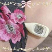 ヒメ日記 2026/04/12 11:20 投稿 まこ 石庭