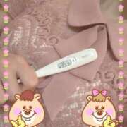 ヒメ日記 2026/04/19 11:30 投稿 まこ 石庭