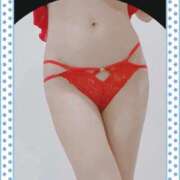 ヒメ日記 2026/04/19 18:11 投稿 まこ 石庭