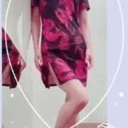 ヒメ日記 2026/04/21 15:50 投稿 まこ 石庭