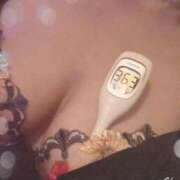 ヒメ日記 2026/04/23 11:20 投稿 まこ 石庭