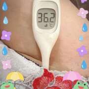 ヒメ日記 2026/04/25 12:59 投稿 まこ 石庭