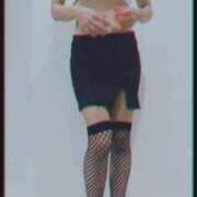 ヒメ日記 2026/07/11 19:21 投稿 まこ 石庭