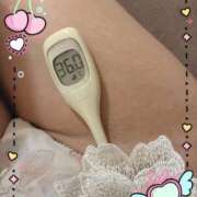 ヒメ日記 2026/07/30 09:50 投稿 まこ 石庭
