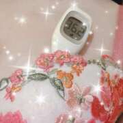 ヒメ日記 2026/09/15 09:56 投稿 まこ 石庭