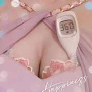 ヒメ日記 2026/10/08 09:50 投稿 まこ 石庭