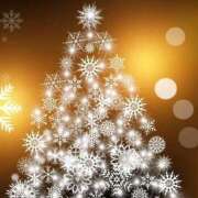 ヒメ日記 2024/12/13 16:38 投稿 マリア 石庭