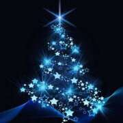 ヒメ日記 2024/12/14 12:04 投稿 マリア 石庭