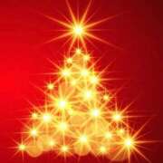 ヒメ日記 2024/12/16 16:14 投稿 マリア 石庭